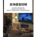 【Dream夢想】 Vision視界 4K旗艦電視盒+IPTV歡樂看6個月會員價