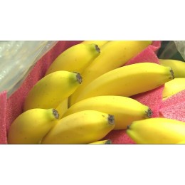 無敵黃金蕉（烏龍蕉）±1000g