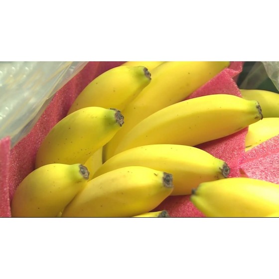 無敵黃金蕉（烏龍蕉）±1000g
