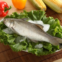 午仔魚(全魚)±350g