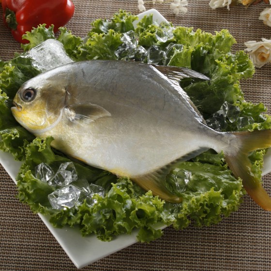 黃金鯧(全魚)±400g