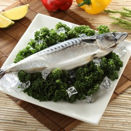 薄鹽花鯖魚±400g