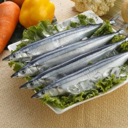 特級秋刀魚±500g