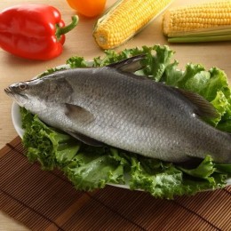 金目鱸魚±500g