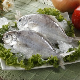 澎湖肉魚±150g