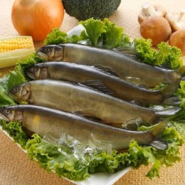 公香魚